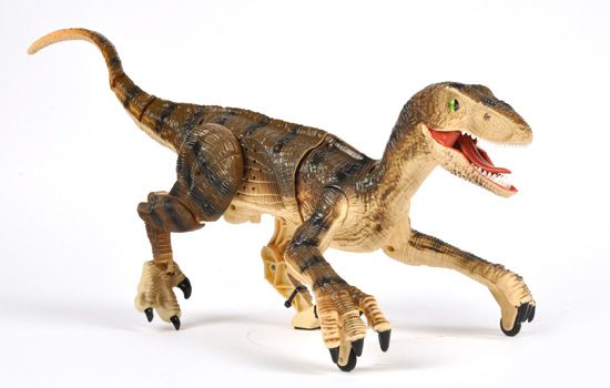 https://www.jjmstore.fr/media/catalog/product/cache/1/image/700x700/e9c3970ab036de70892d86c6d221abfe/d/i/dinausaure-v_lociraptor-raptosaurus-radiocomabd_-t2m-t4938b_2__1.jpg