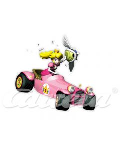 Mario Kart DS Peach Royale